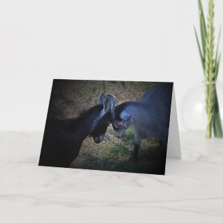 Butting Heads Card