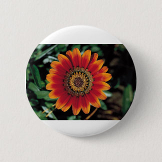 Button best design flower
