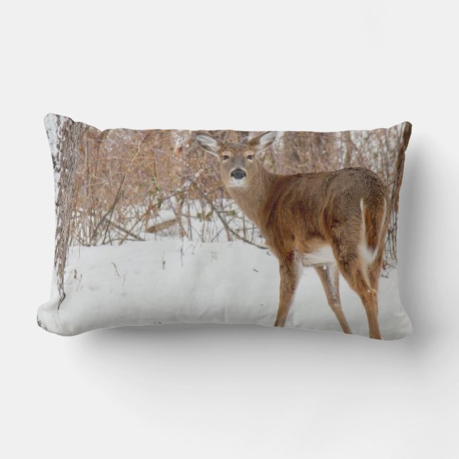 Button Buck Deer in Winter White Snowy Field Lumbar Pillow (Front)