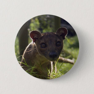 Button - Fossa