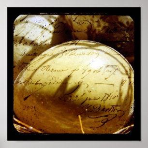 Button Quail Eggs Poster