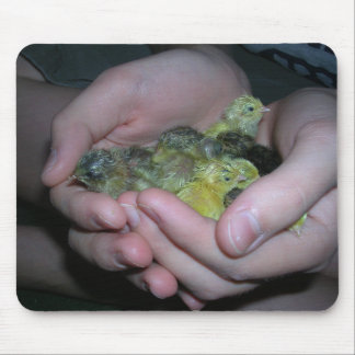 button quail mousepad