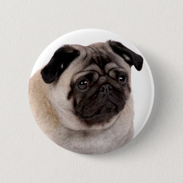 button with pug muzzle (Front)