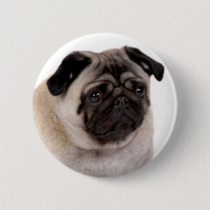 button with pug muzzle