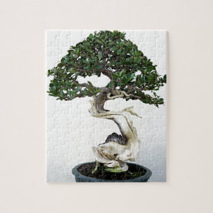 Buttonwood Bonsai Tree Jigsaw Puzzle