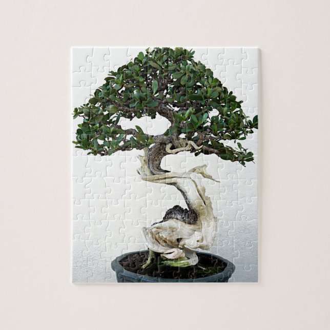 Buttonwood Bonsai Tree Jigsaw Puzzle (Vertical)