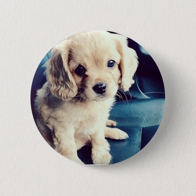 Buttonz Up! 2 Inch Round Button (Front)