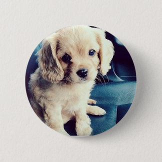 Buttonz Up! 2 Inch Round Button