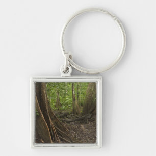 Buttress Roots. Rainforest, Mapari Rupununi, 2 Keychain