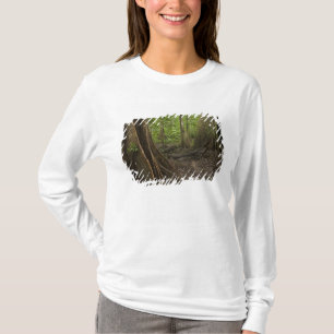 Buttress Roots. Rainforest, Mapari Rupununi, 2 T-Shirt