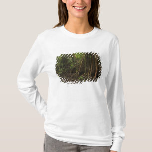Buttress Roots. Rainforest, Mapari Rupununi, T-Shirt