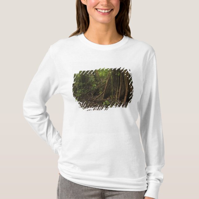 Buttress Roots. Rainforest, Mapari Rupununi, T-Shirt (Front)