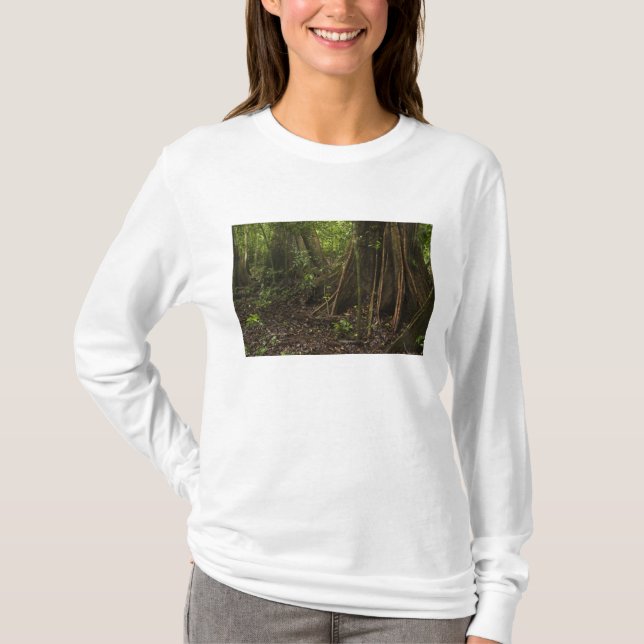 Buttress Roots. Rainforest, Mapari Rupununi, T-Shirt (Front)