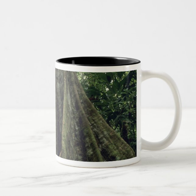 Buttressed tree in rainforest, Corcovado Two-Tone Coffee Mug (Right)