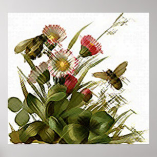 Buzz Buzz & Floral Poster
