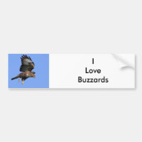 Buzzard  3