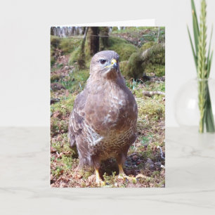 Buzzard Folded Greeting Card