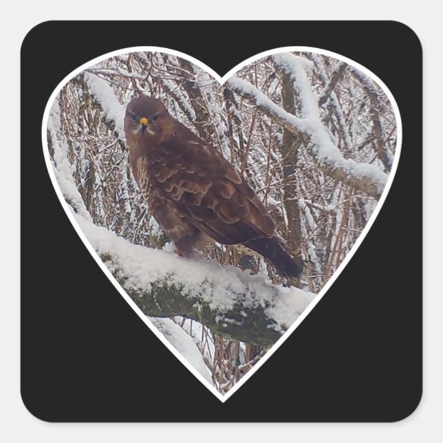 Buzzard on Snowy Branch in Heart Sticker (Front)