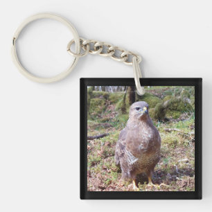 Buzzard Staring Key Ring