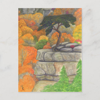 Buzzard's Roost at Fall Creek Falls Postcard