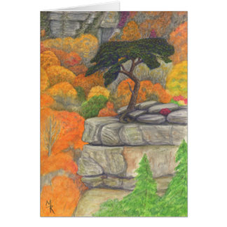 Buzzard's Roost - Fall Creek Falls State Park