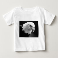 BW Bald Eagle