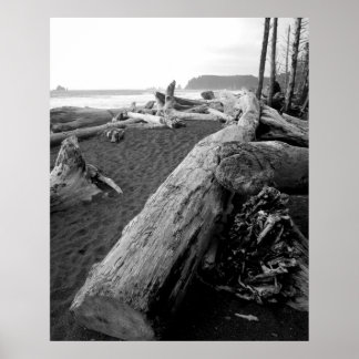 bw driftwood 2 poster