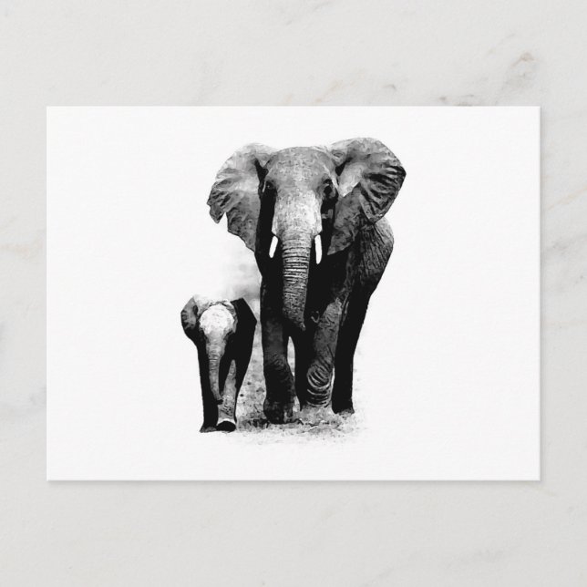 BW Elephant & Baby Elephant Postcard (Front)