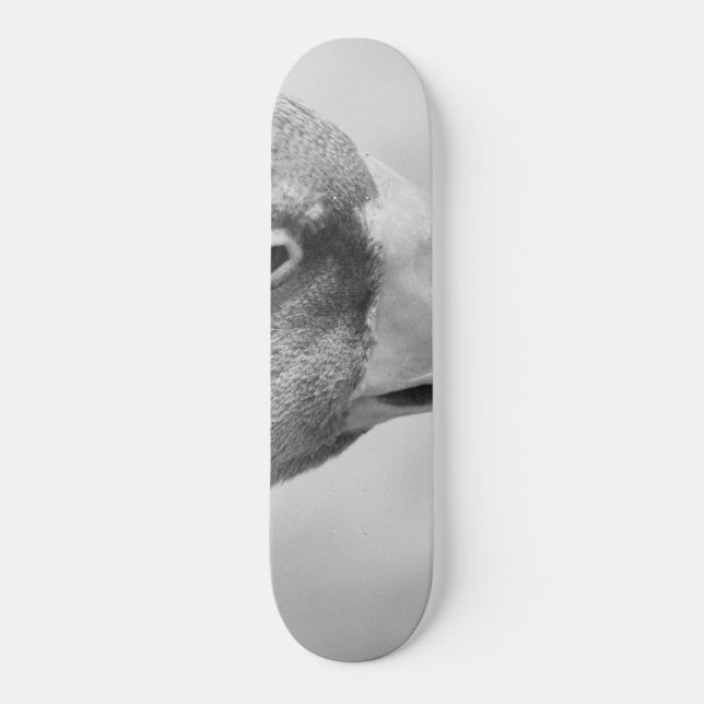 BW Goose Skateboard (Front)
