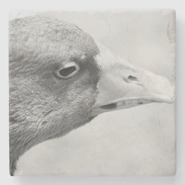 BW Goose Stone Coaster (Front)
