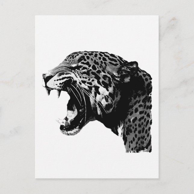 BW Jaguar Postcard (Front)