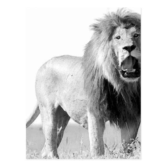 BW Lion Postcard