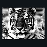 BW Tiger Poster Print Pop Art Style Tigers Posters<br><div class="desc">Face of Siberian Tiger Posters Prints - Motivational Courage / Confidence Pop Art Tigers - Yellow Tones Tiger Head / Portrait Digital Animal Artwork - Tiger Eyes Pop Art Image - Head of Tiger - Tiger Portrait - Wild Tigers - Big Cats Digital Images</div>
