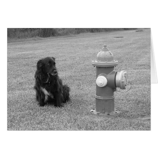 bw_votre_tour (Devant horizontal)