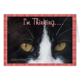 BWThinking......customize