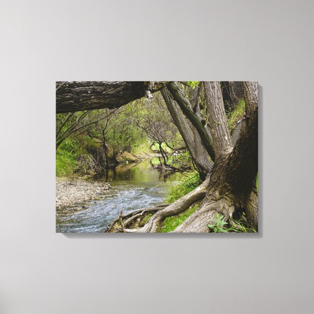 By The Creek Canvas Print (Front)