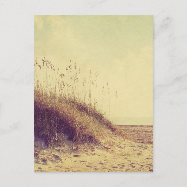 By the Dunes Postcard (Front)