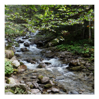 By The River Photography Poster