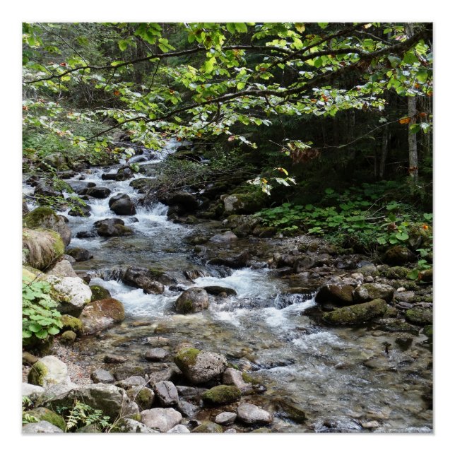 By The River Photography Poster (Front)