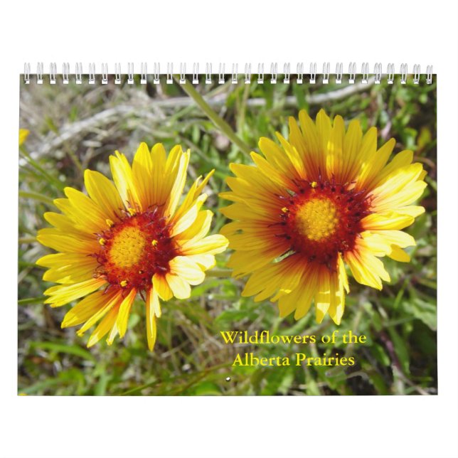C12 Wildflowers of the Alberta Prairies Calendar (Cover)