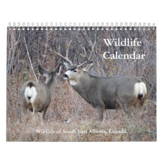 C13 Calendrier des espèces sauvages