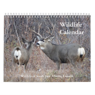 C13 Wildlife Calendar