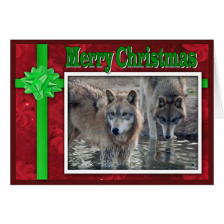 c-2011-grey-wolf-053
