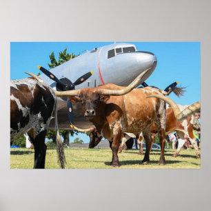 C-47 Skytrain in Texas Poster