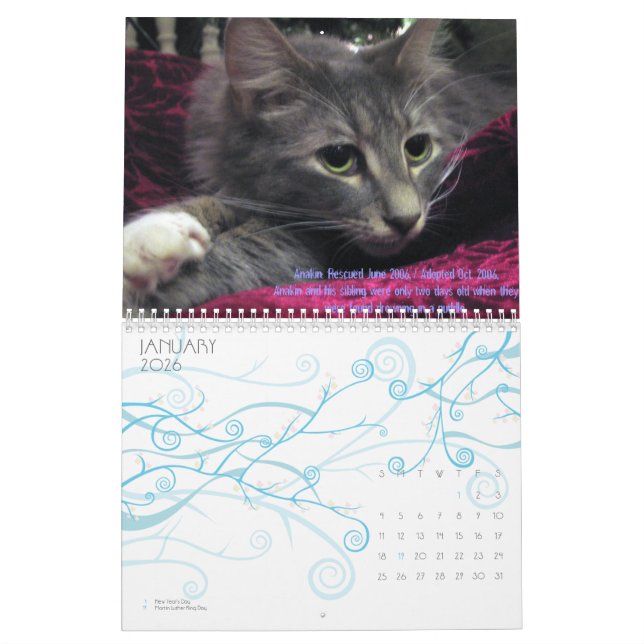 C.A.T.S. Calendrier 2009 (Jan 2026)