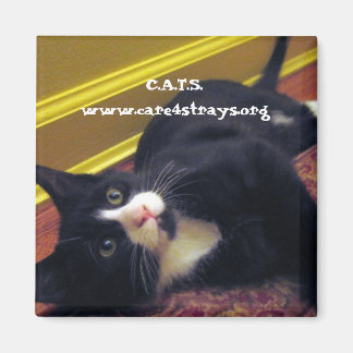 C.A.T.S. Magnet: Magnet