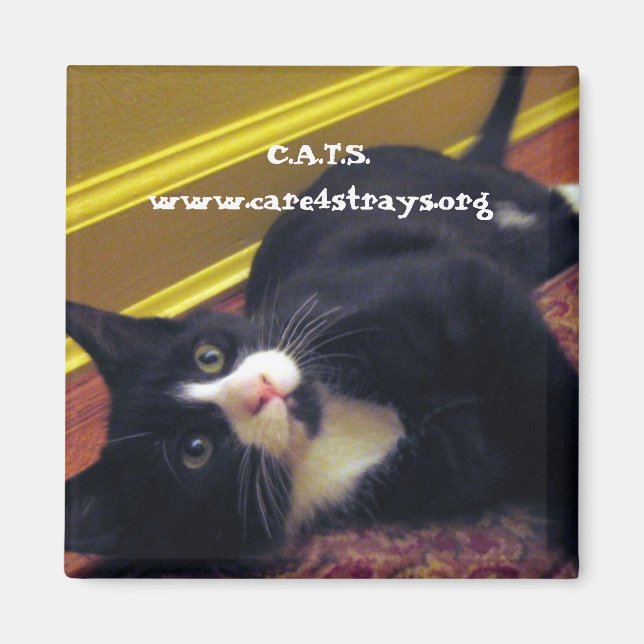 C.A.T.S. Magnet: Magnet (Front)