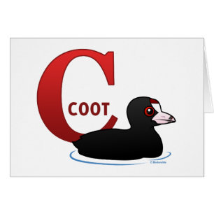 C is for Coot