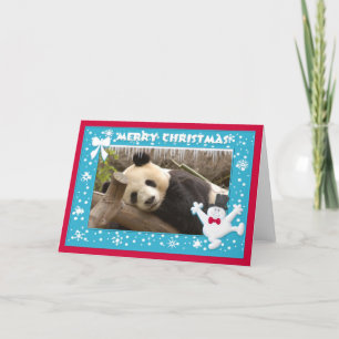 c-panda-278-b card