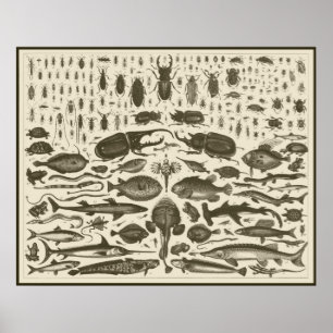 C   R   I   T   T   E   R   S POSTER